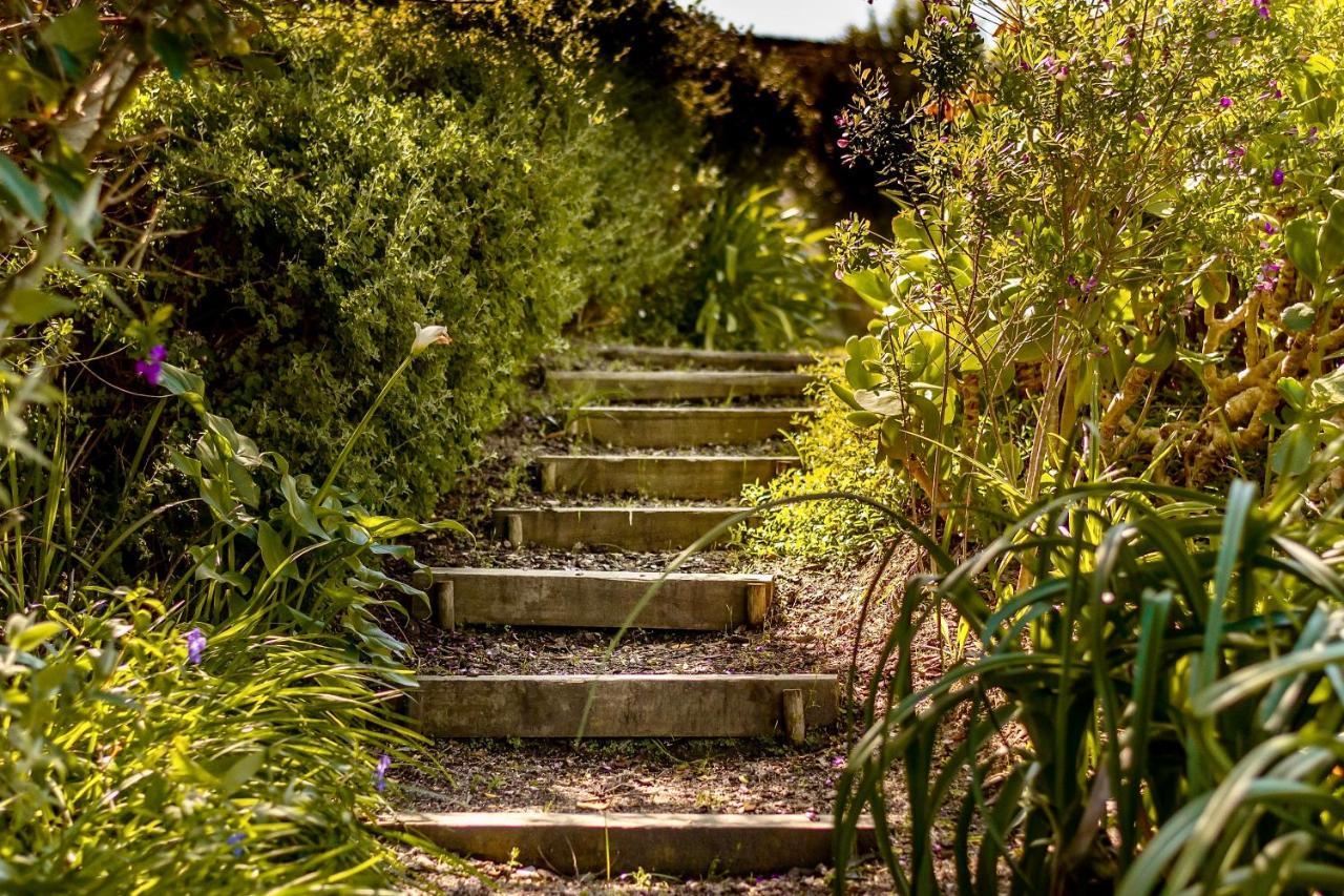 The Dongola Guesthouse Cape Town Exterior foto
